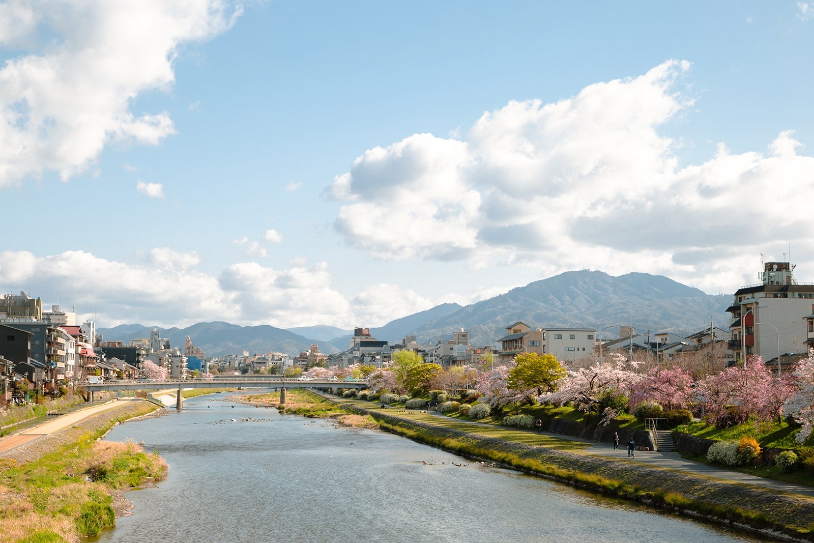 Pontocho street and Kamo river at spring in Kyoto, Japan