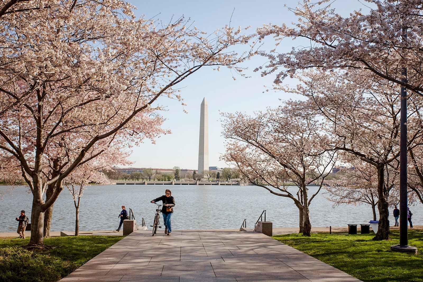 View of Washington Monument