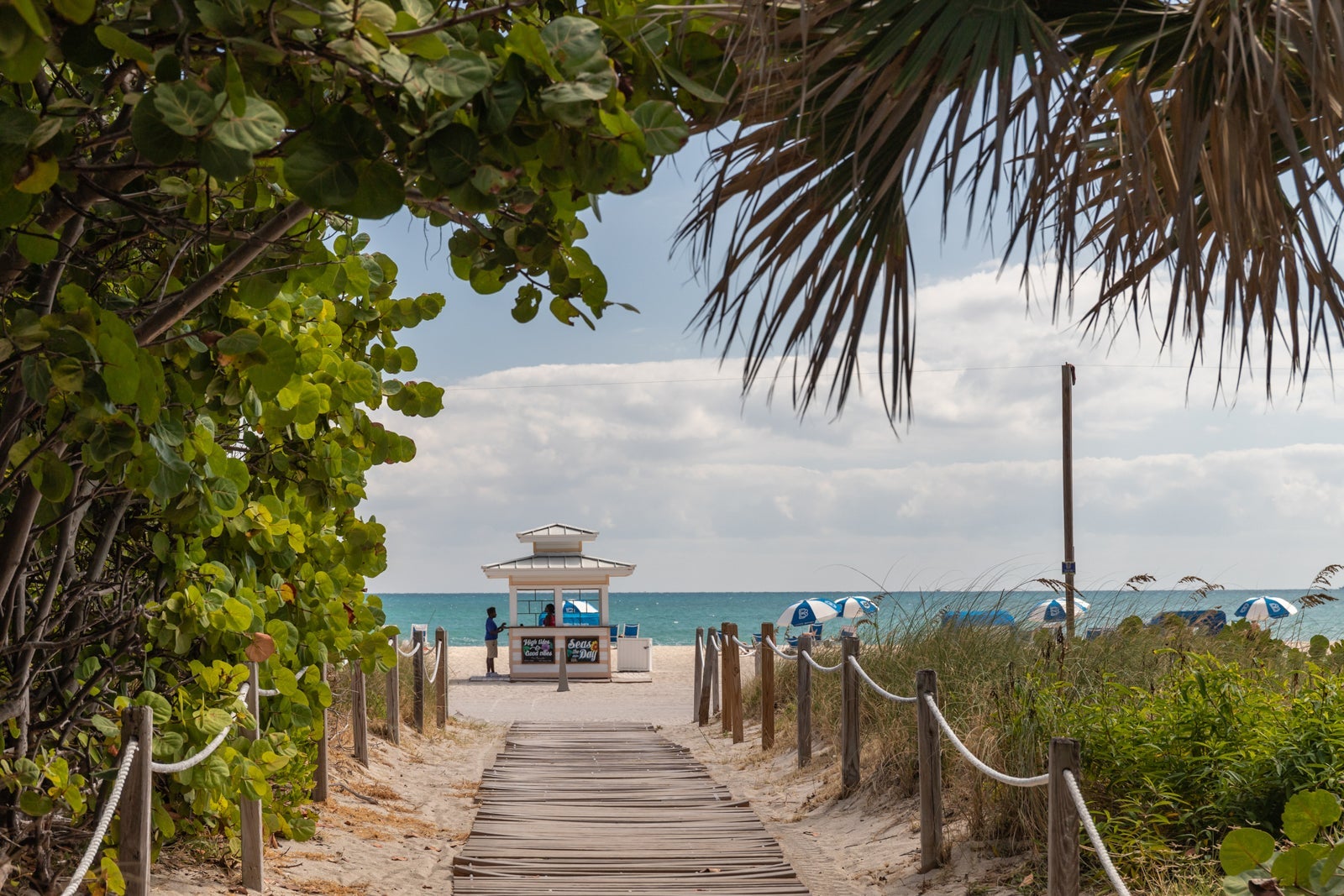 Beach day, Miami Beach
