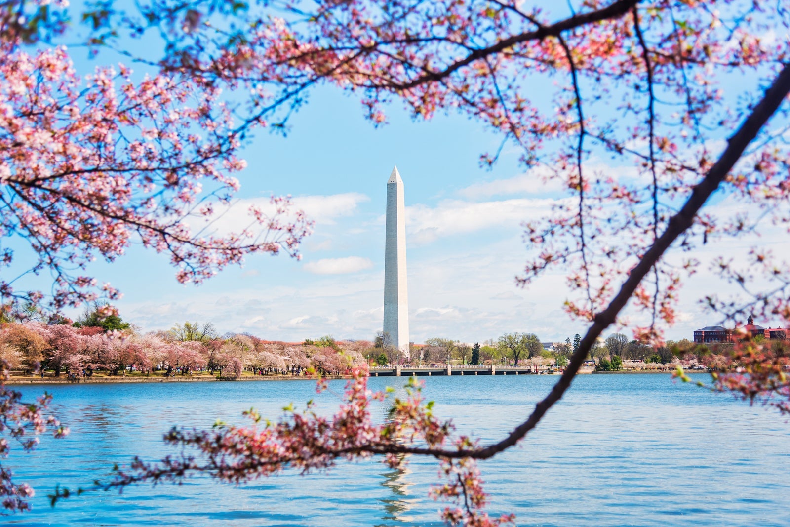 Distant Washington Monument, Washington, District of Columbia, United States,