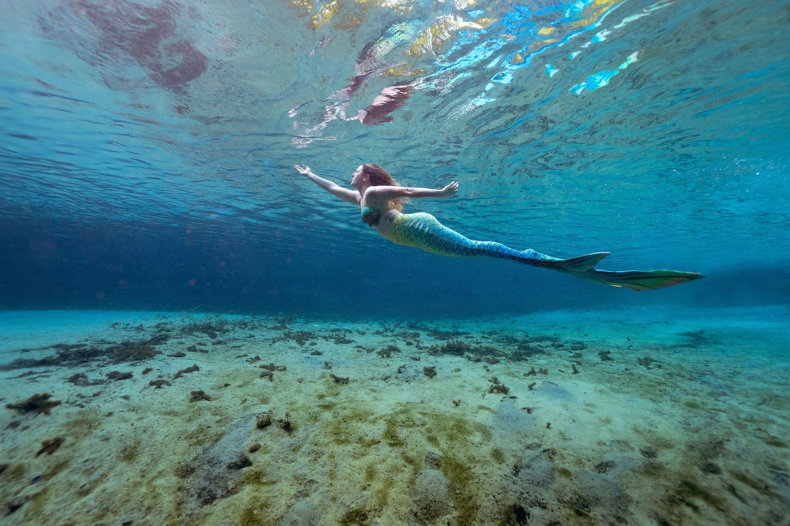 Tarah Chieffi Mermaid Retreat_2950