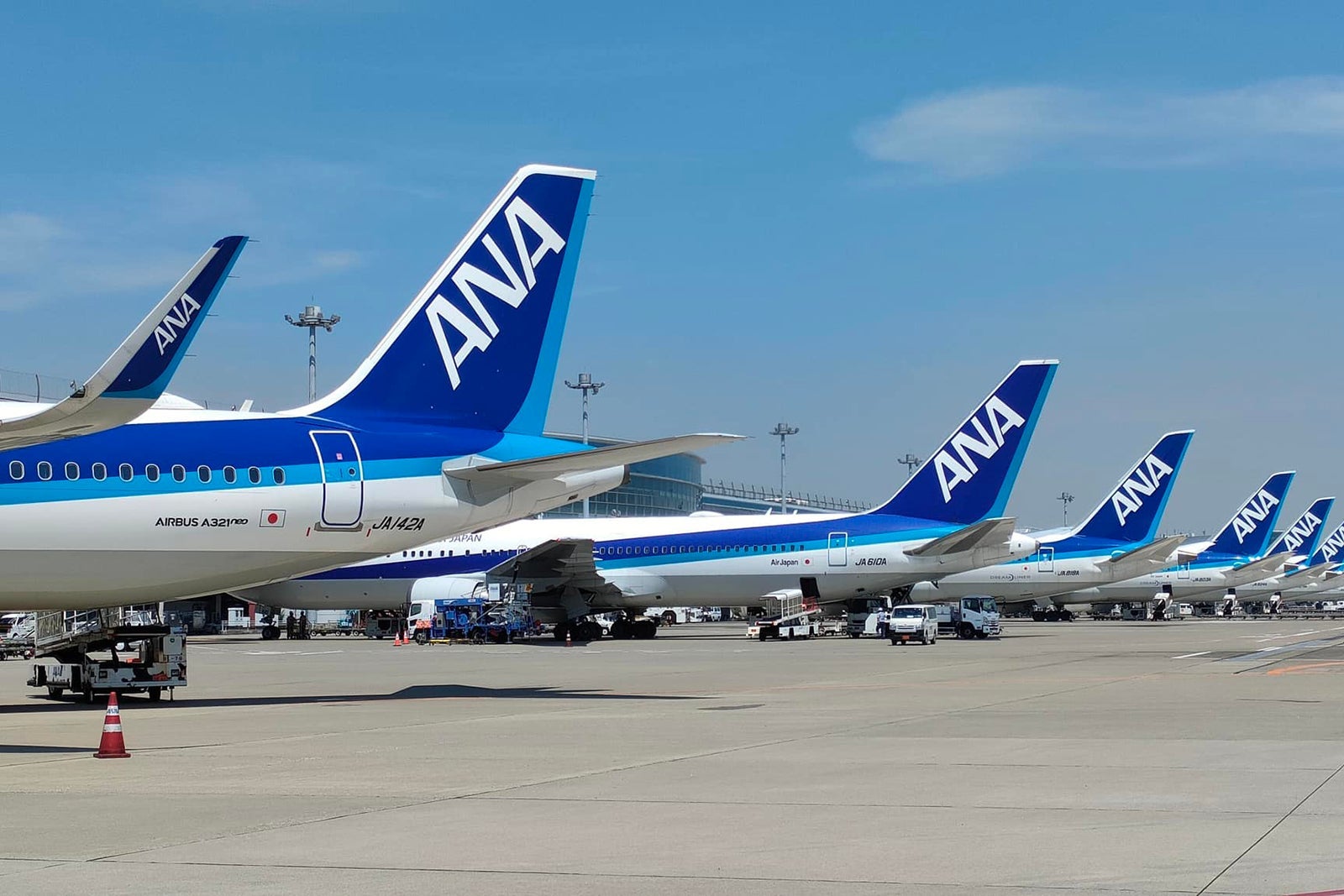 All Nippon Airways_Facebook_Livery