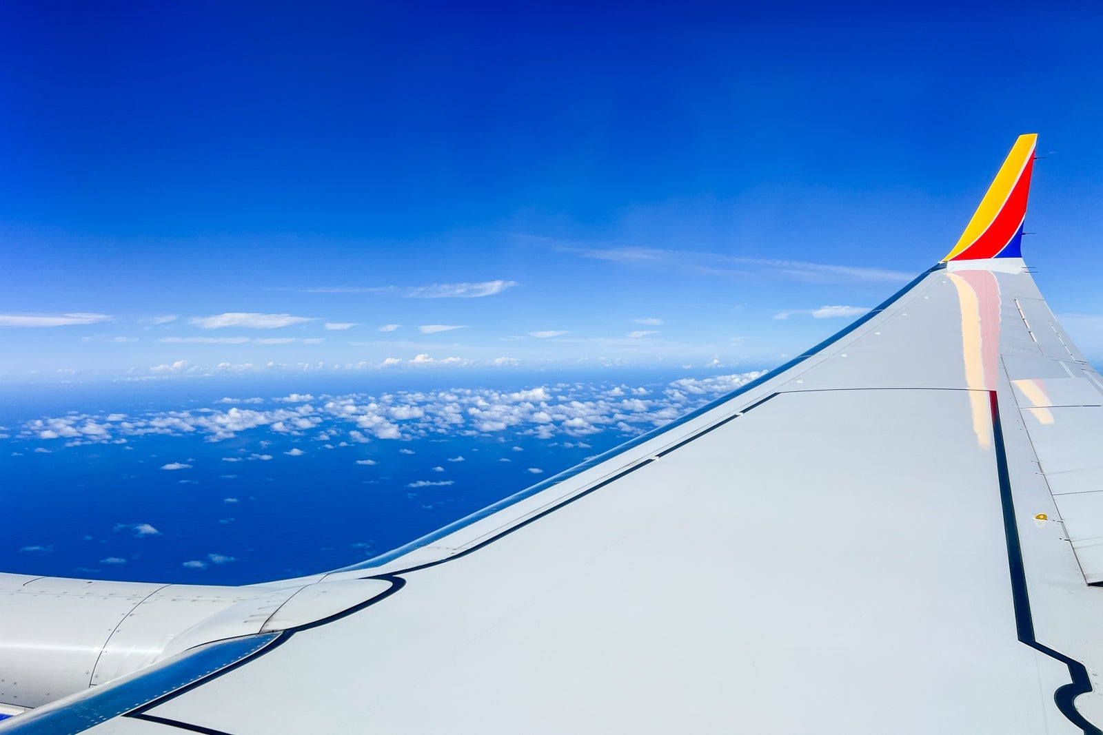 SUMMER HULL/THE POINTS GUY