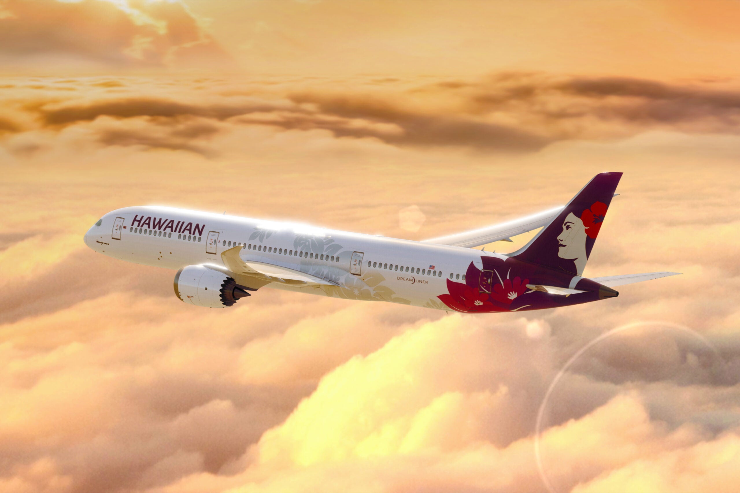 Boeing+787-9+Air+to+Air+1 HAWAIIAN