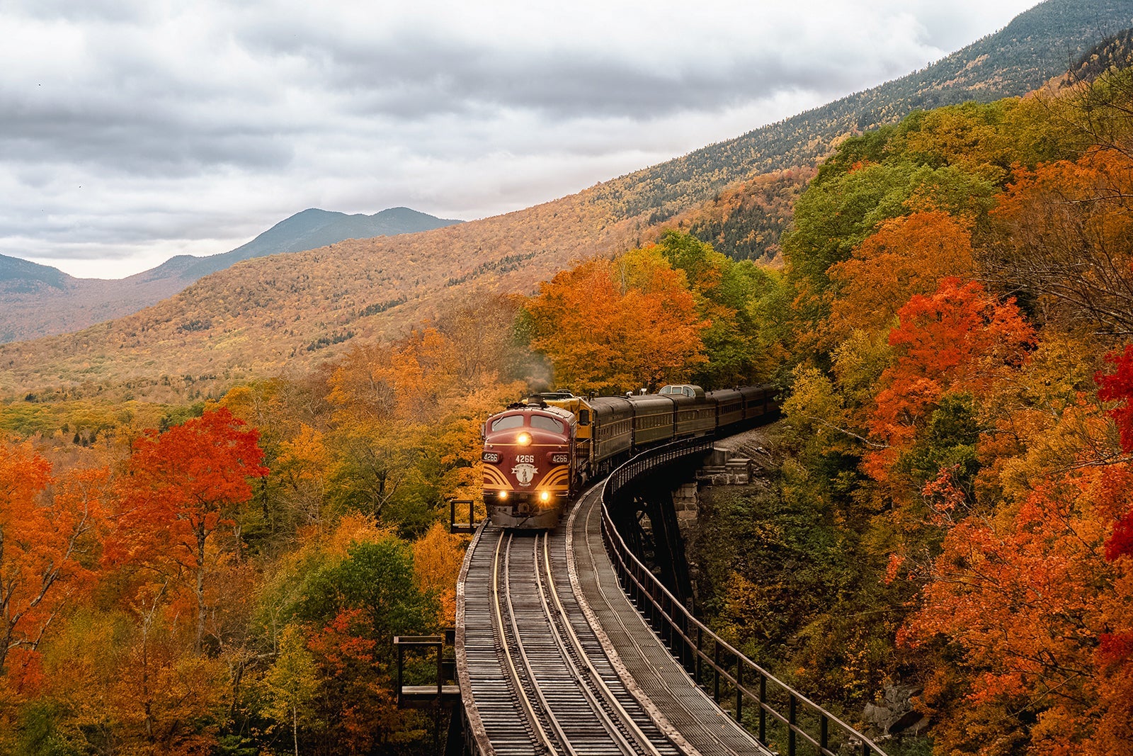 Train through foliage_balazs-busznyak_unsplash