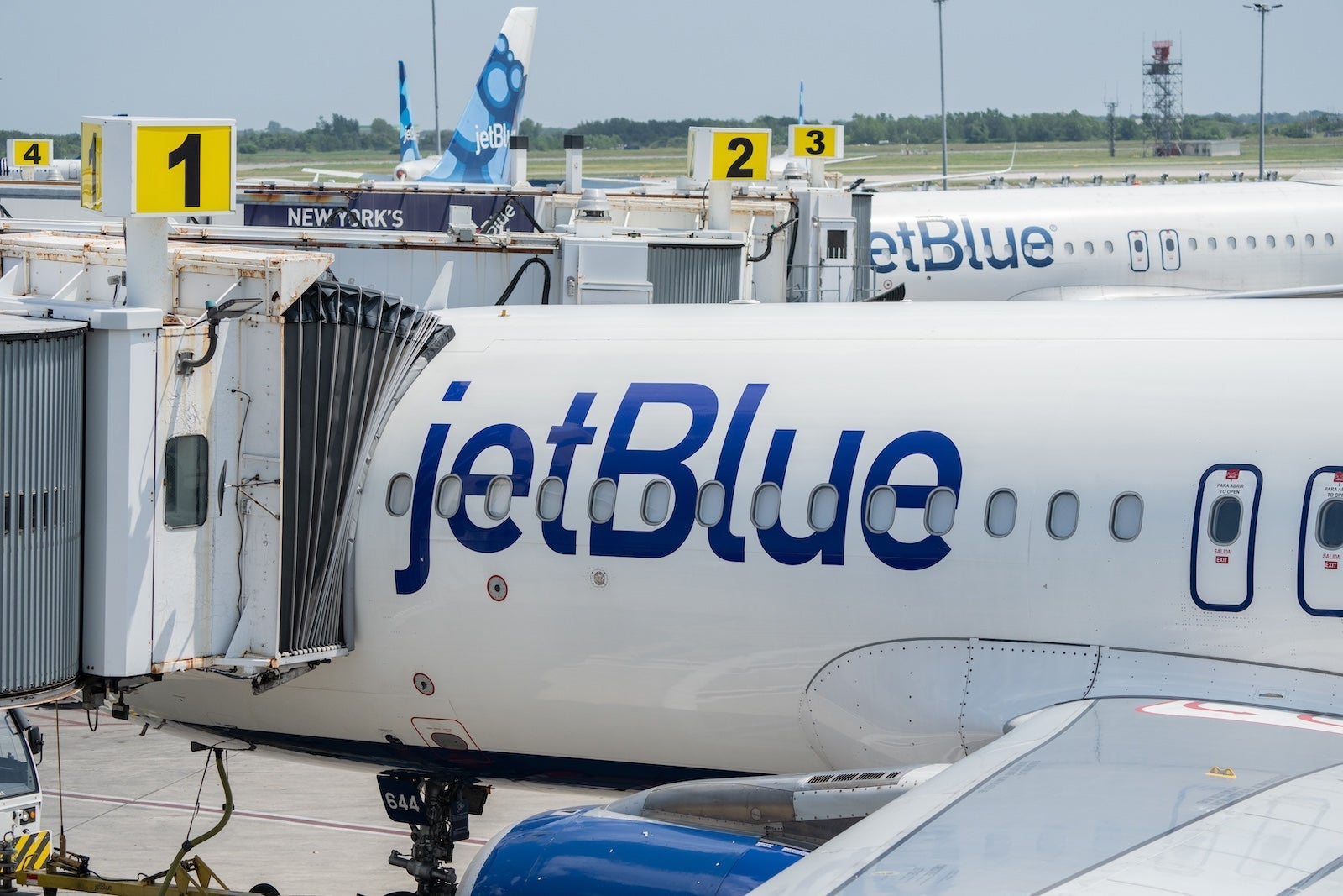 A JetBlue Terminal Ahead Of Earnings Figures