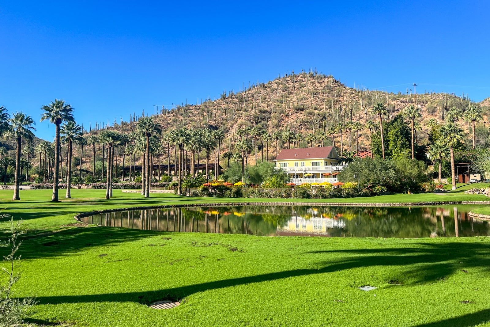 BECKY BLAINE/THE POINTS GUY