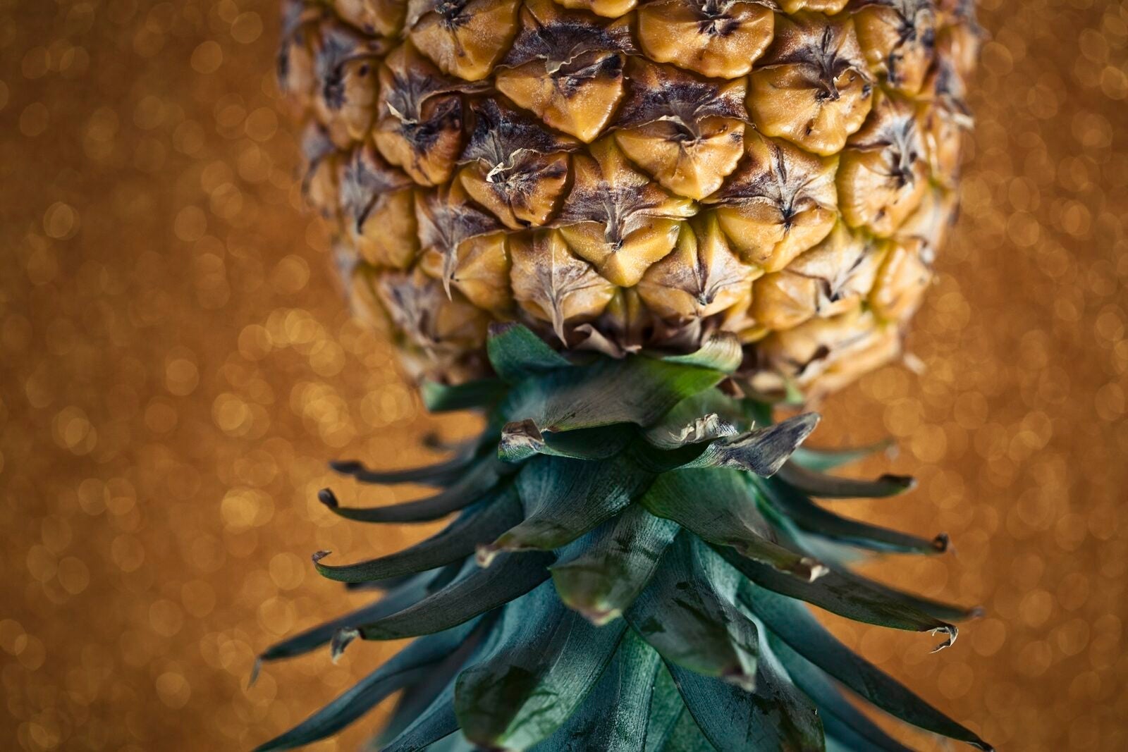 Close-up of pineapple