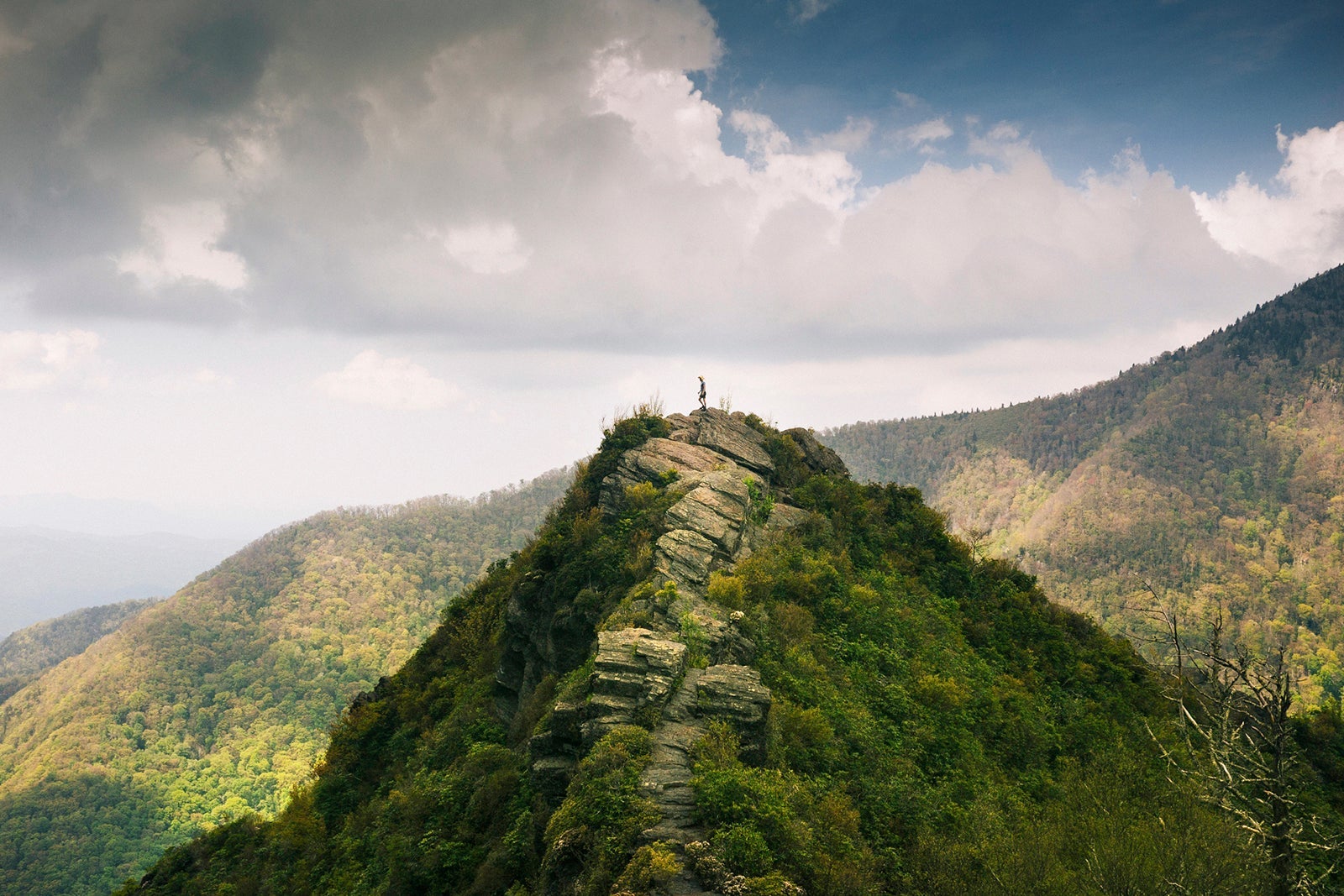 Distant View Of A Man Standing On A Mountain Top In The Smoky Mountain National Park