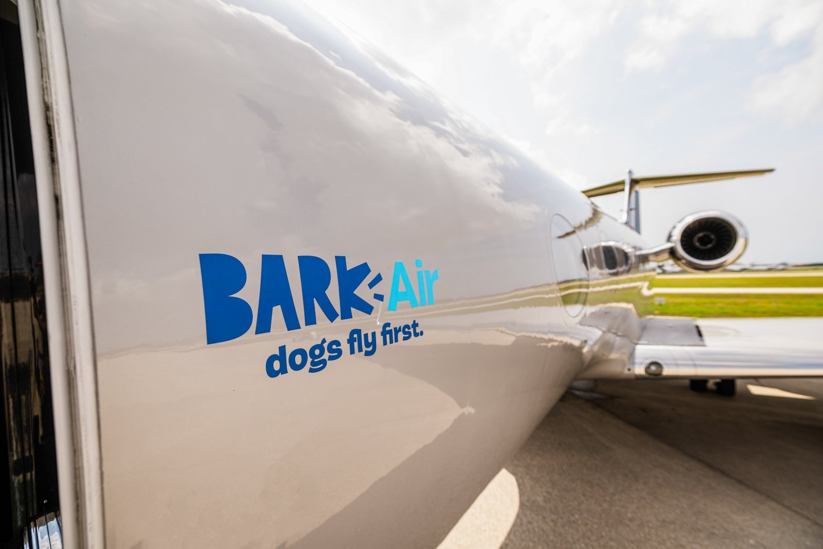 JOE GALL/BARK AIR