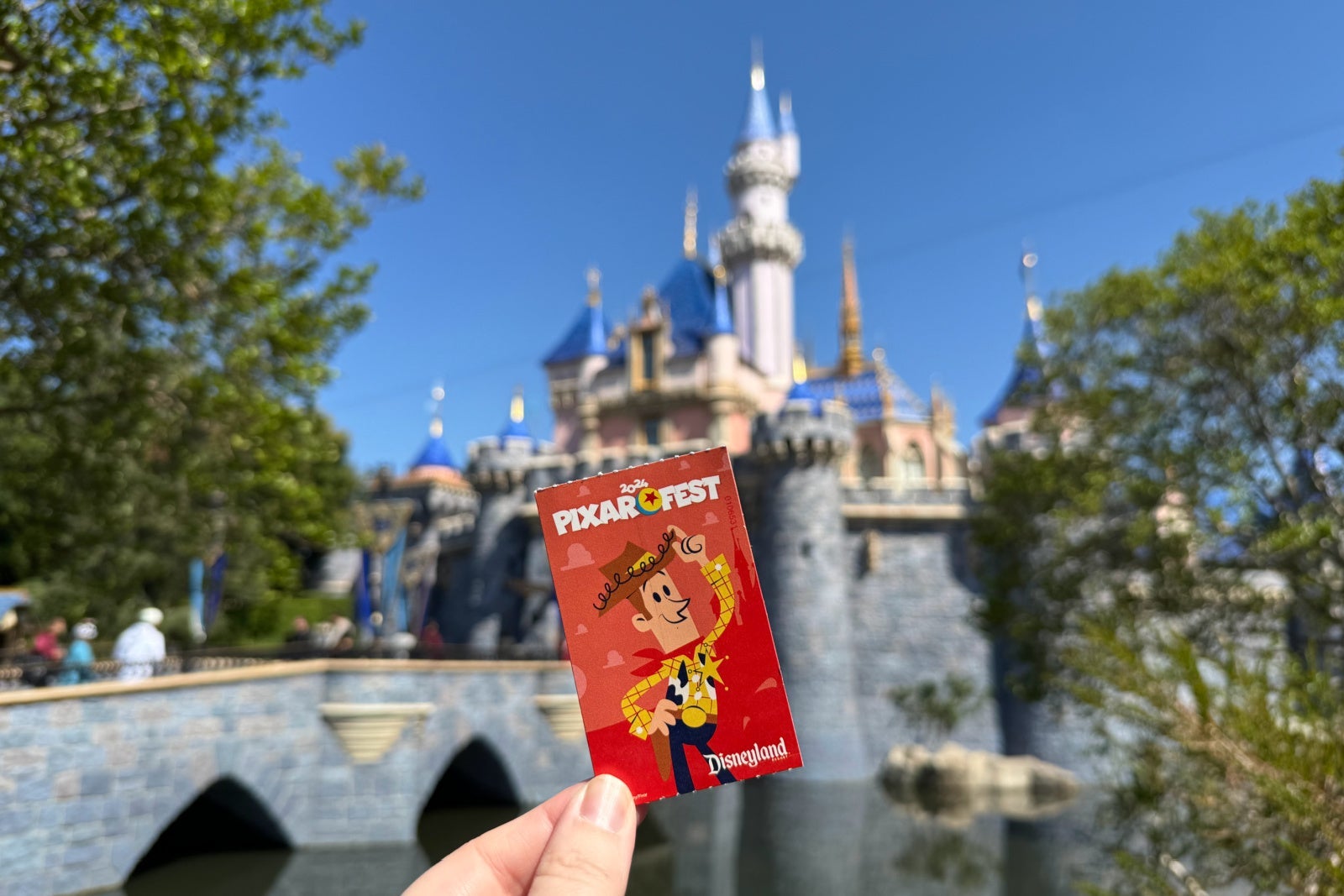 Disneyland Park Ticket