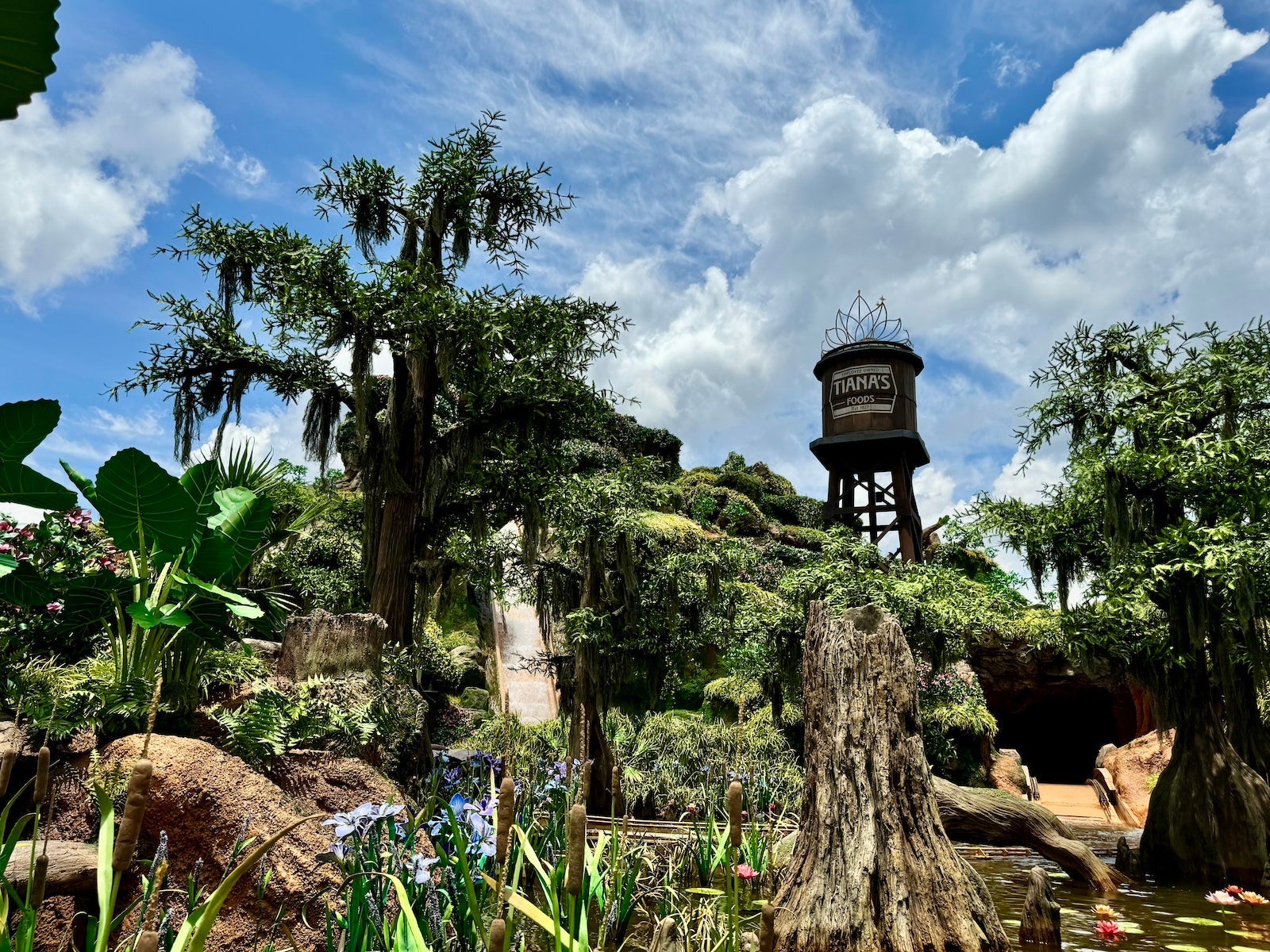 Tiana's Bayou Adventure TCHIEFFI