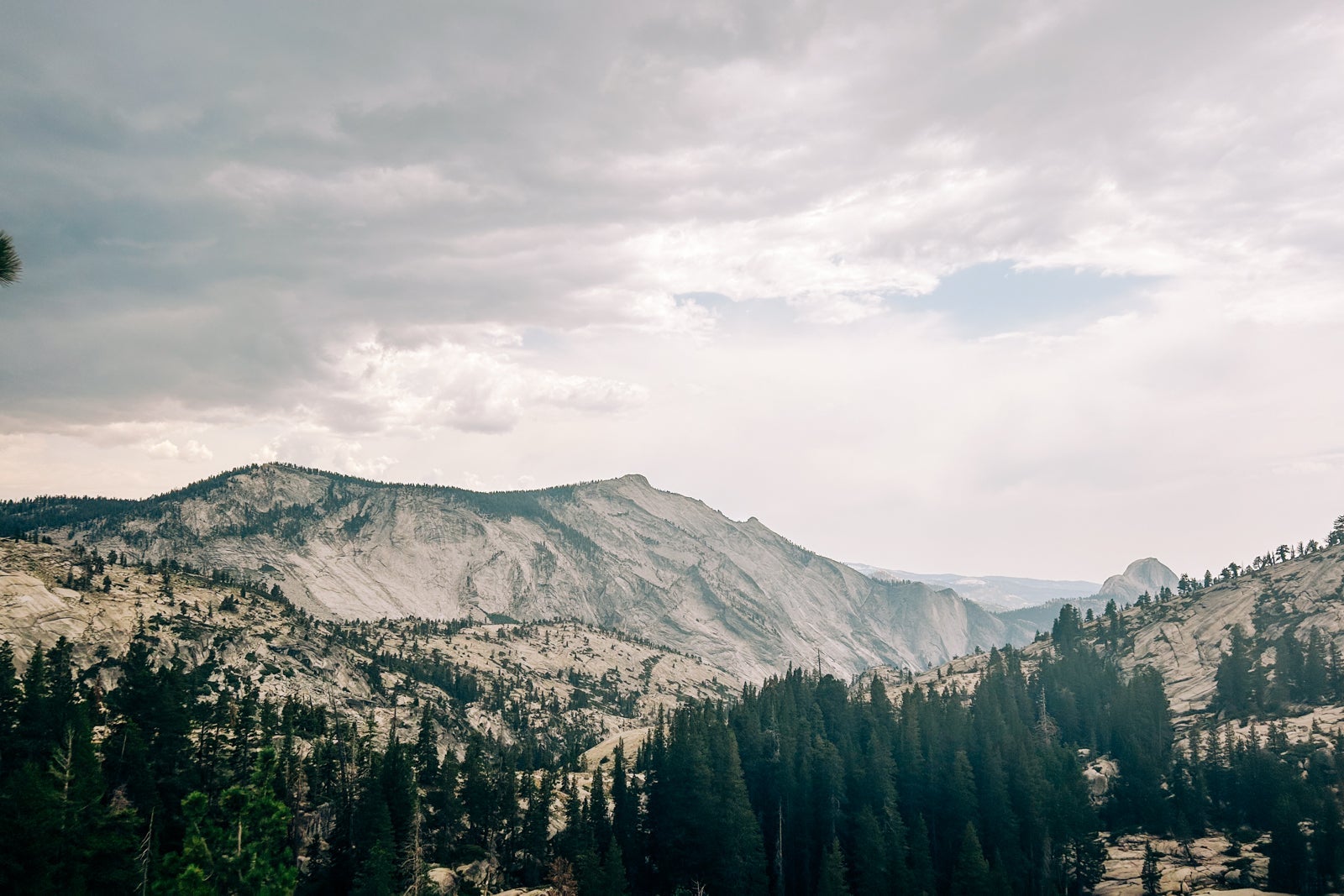 MACKENZIE ROCHE/THE POINTS GUY