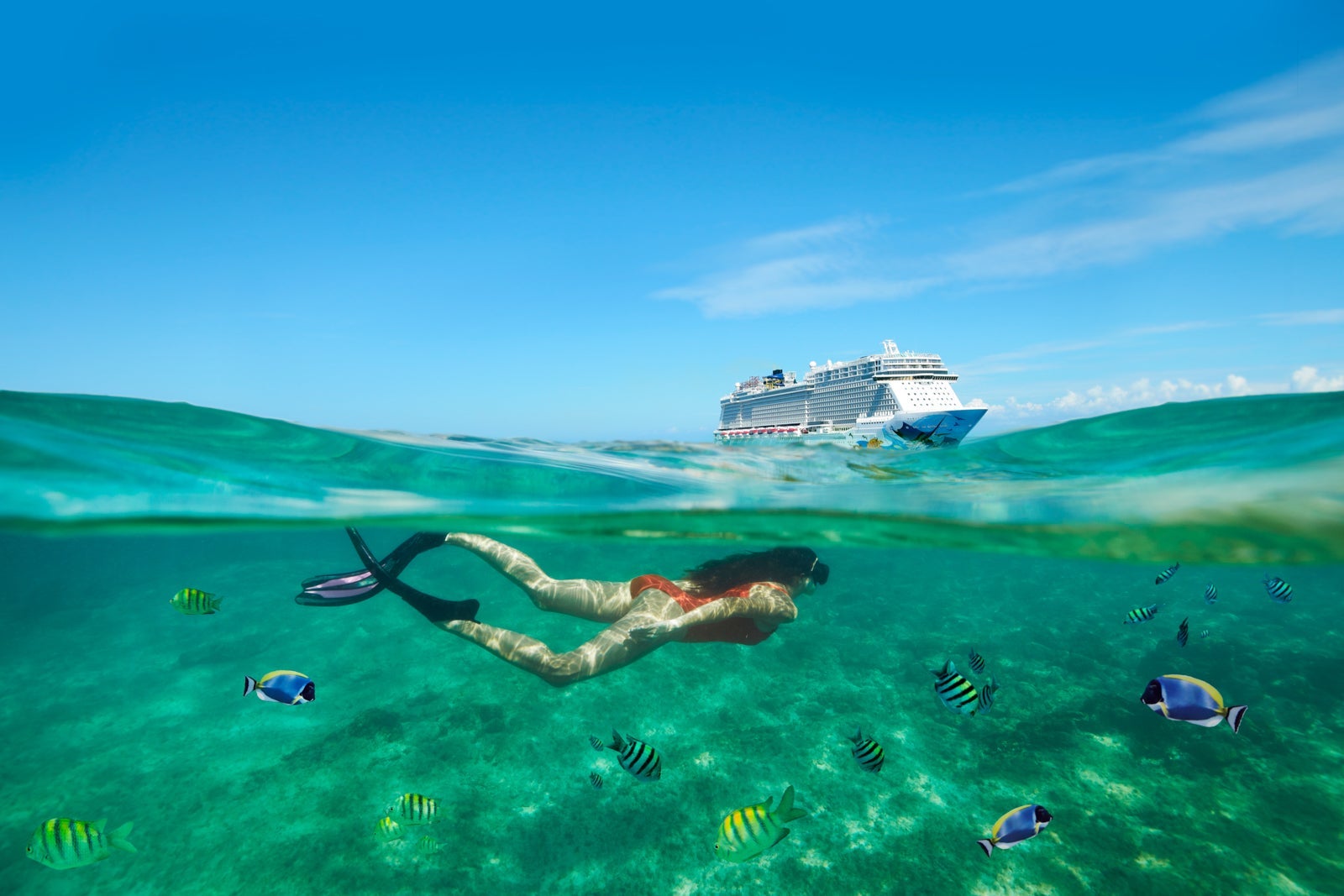 NCL Plan Ahead 2025_Caribbean_NCL_Tortola_VirginGorda_Snorkeling_Escape