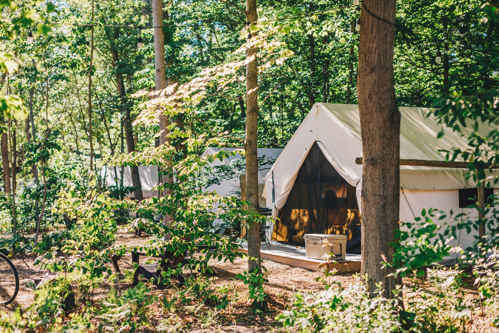 Labor Day Hotels