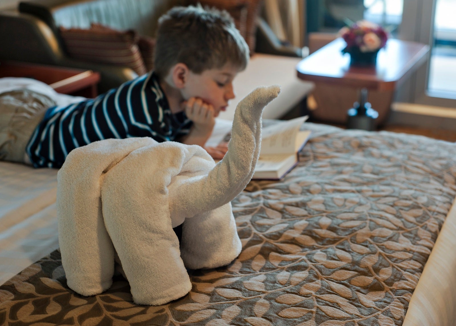 Child with towel animal MN2013_Stateroom_DSC0009 (1)