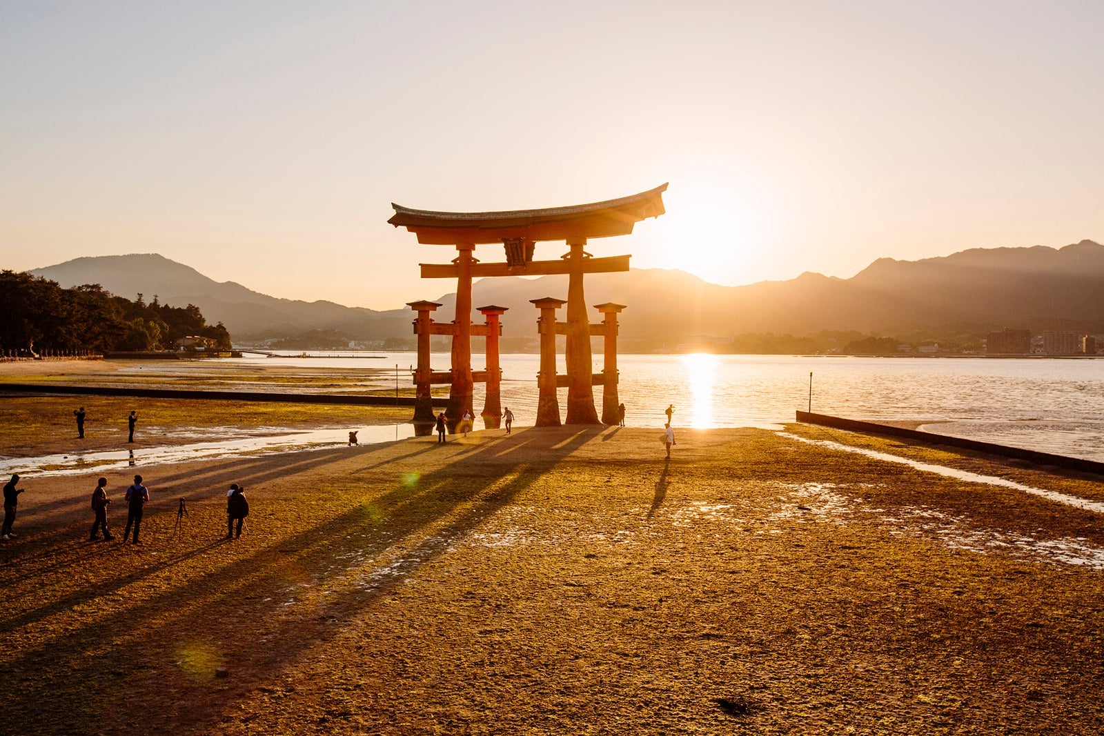 Torii gate in Miyajima during sunset, Japan