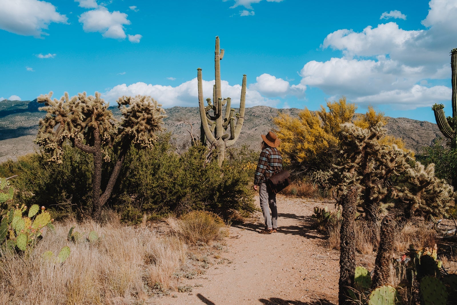 Young man day hiking through Saguaro Forests in the Sonoran Desert