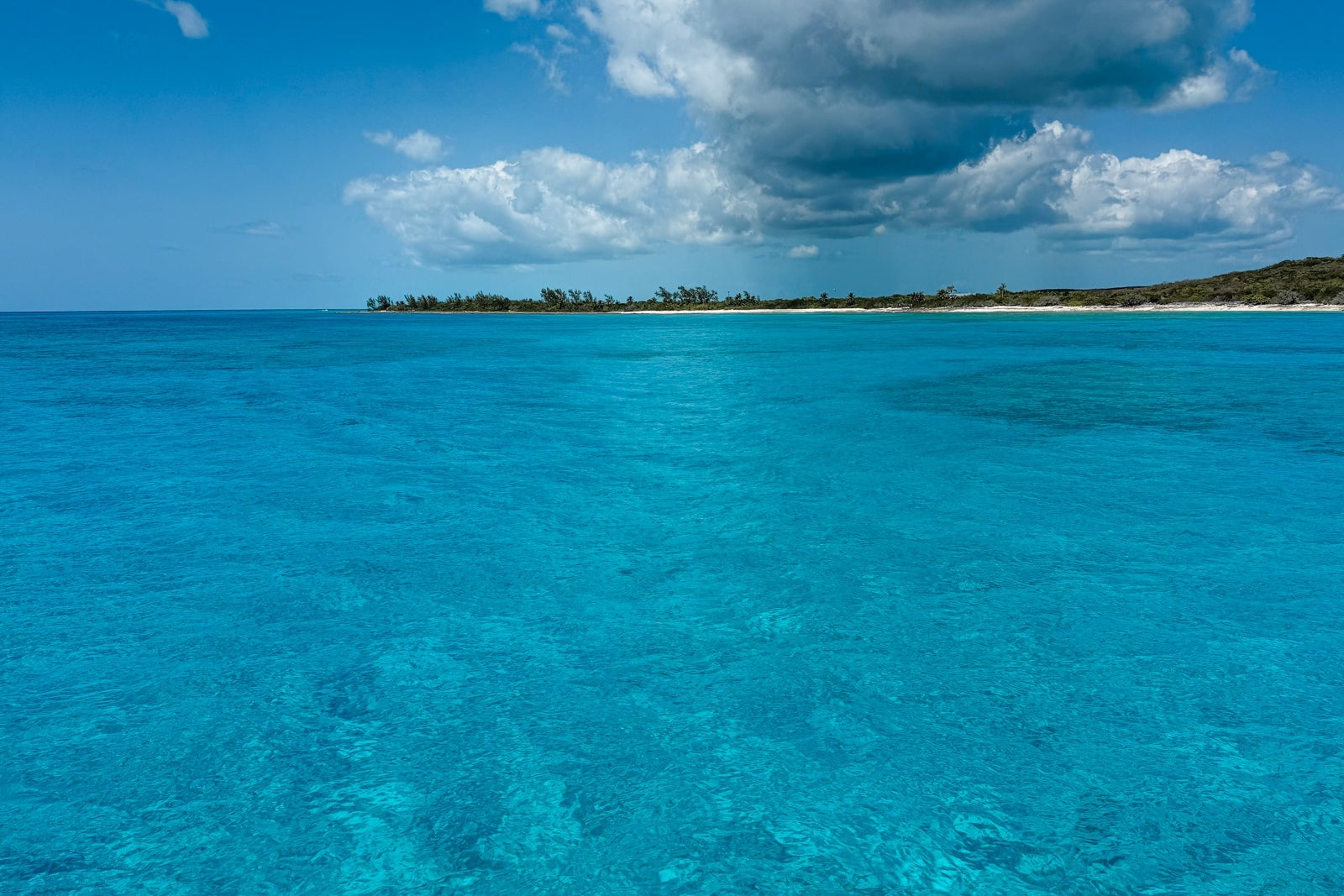 SUMMER HULL/THE POINTS GUY