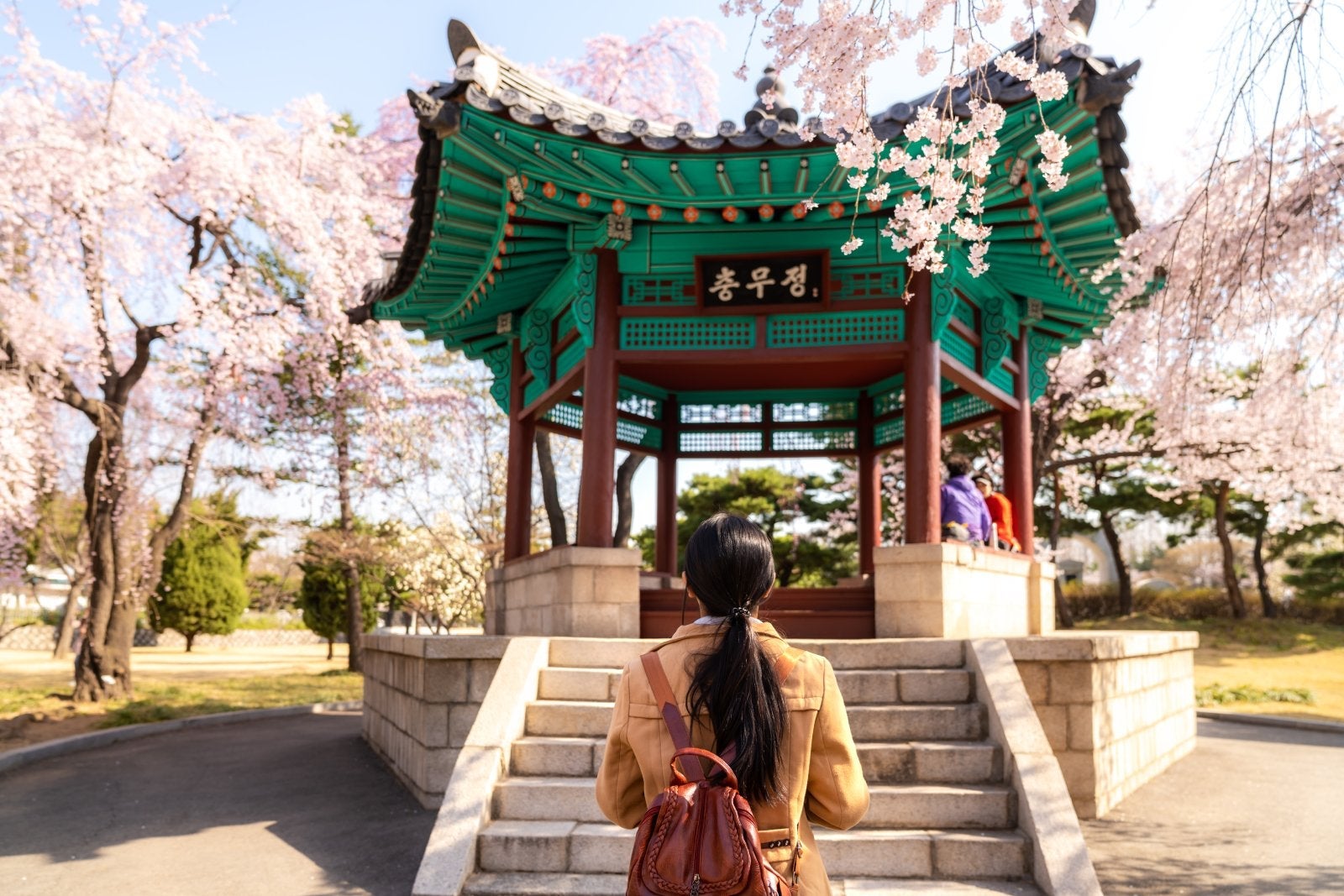 Asian woman sightseeing Korean pavilion in the park with the cherry blossoms are blooming in Seoul, South Korea.