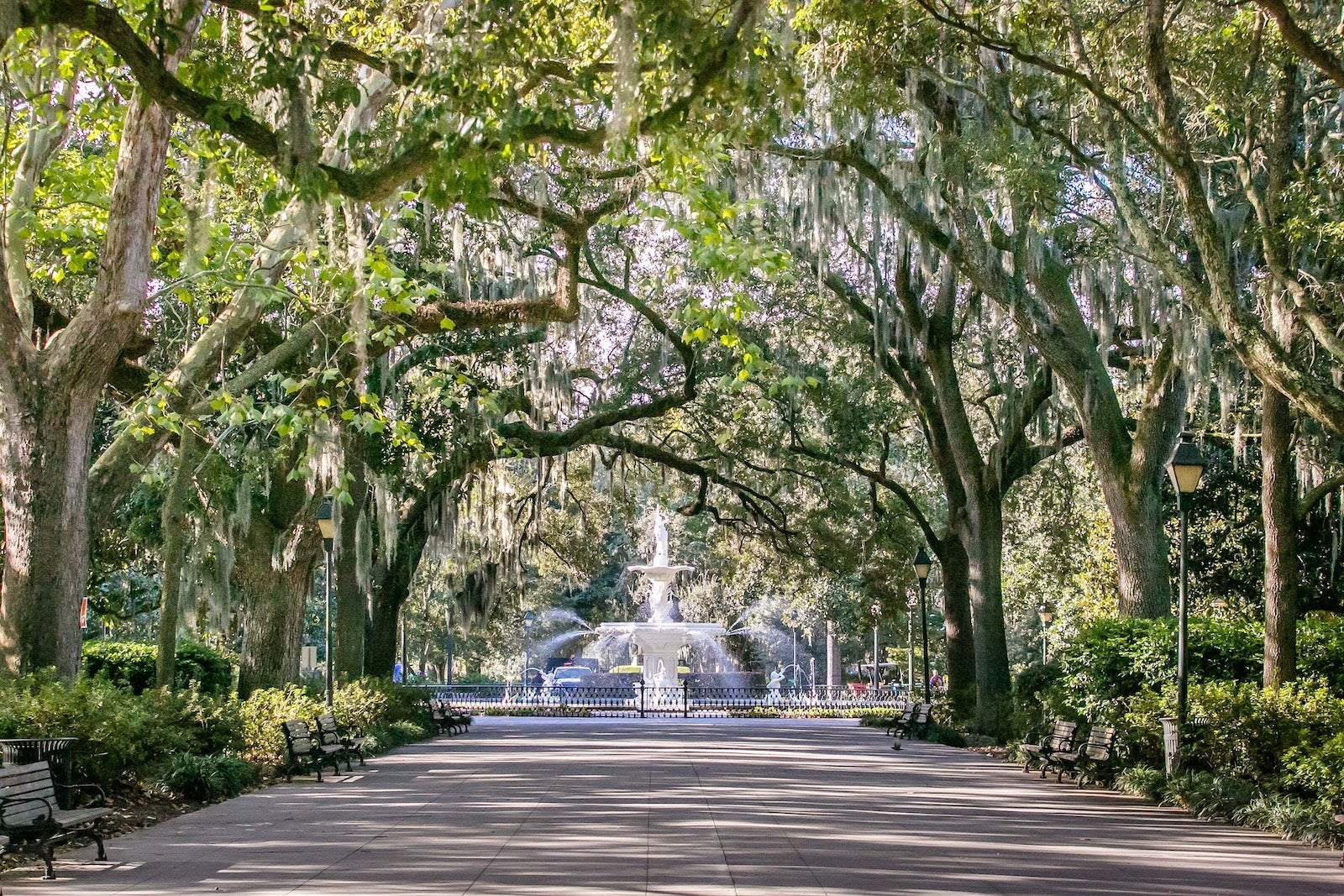 Green Forsyth Park Fountain