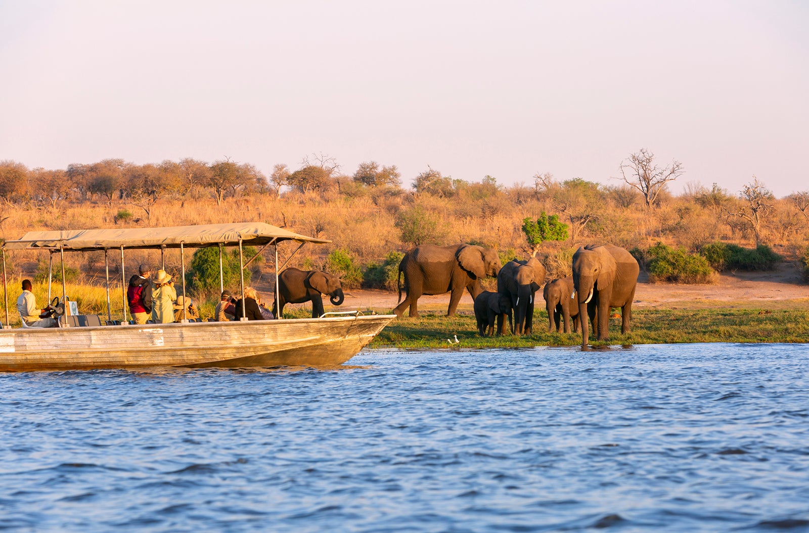 Tourist observe elephants in the edge of Chobe National Park, Botswana, Africa