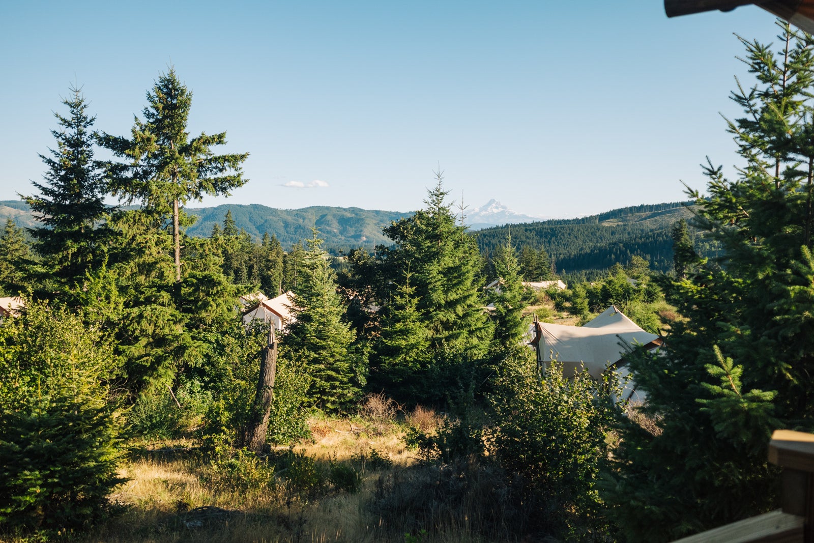 EMILIA WRONSKI/THE POINTS GUY