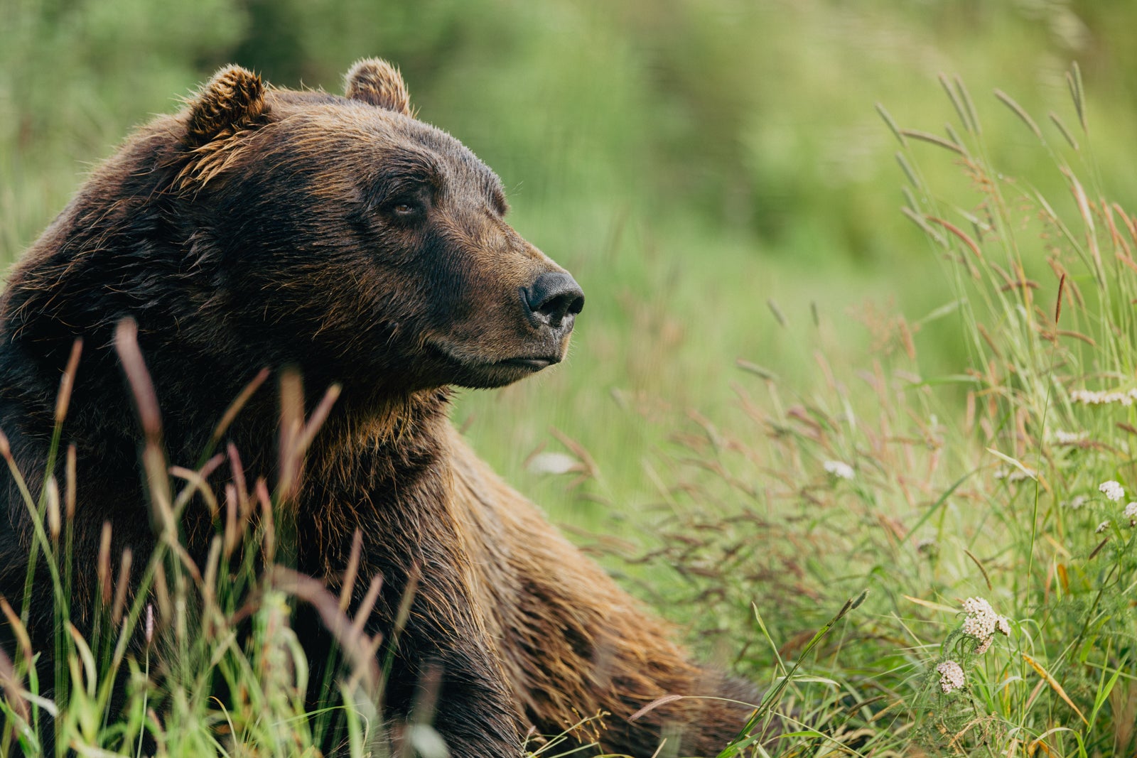 Princess Cruises Excursions_PRINCESS-5