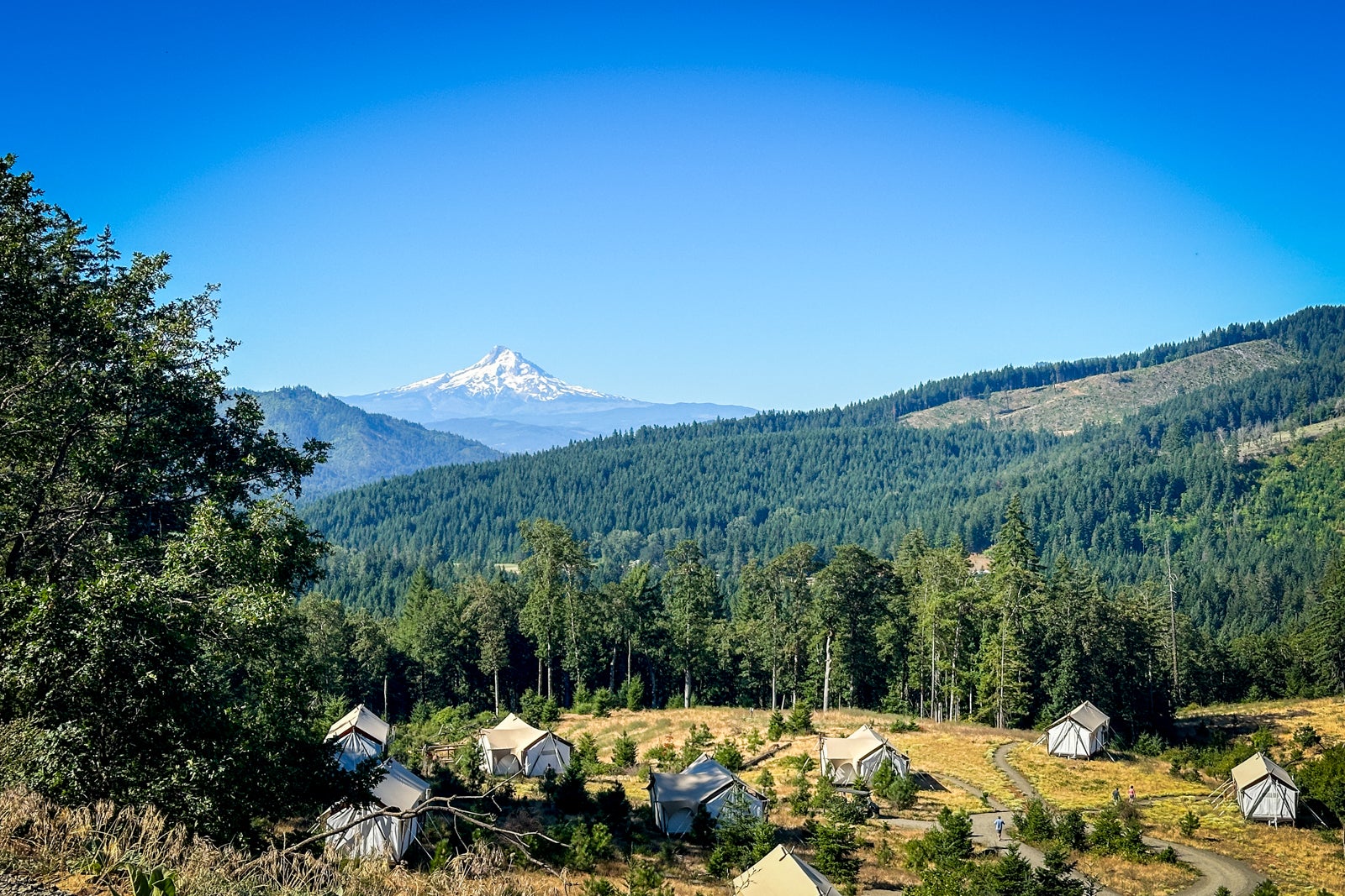Under Canvas Colombia River Gorge