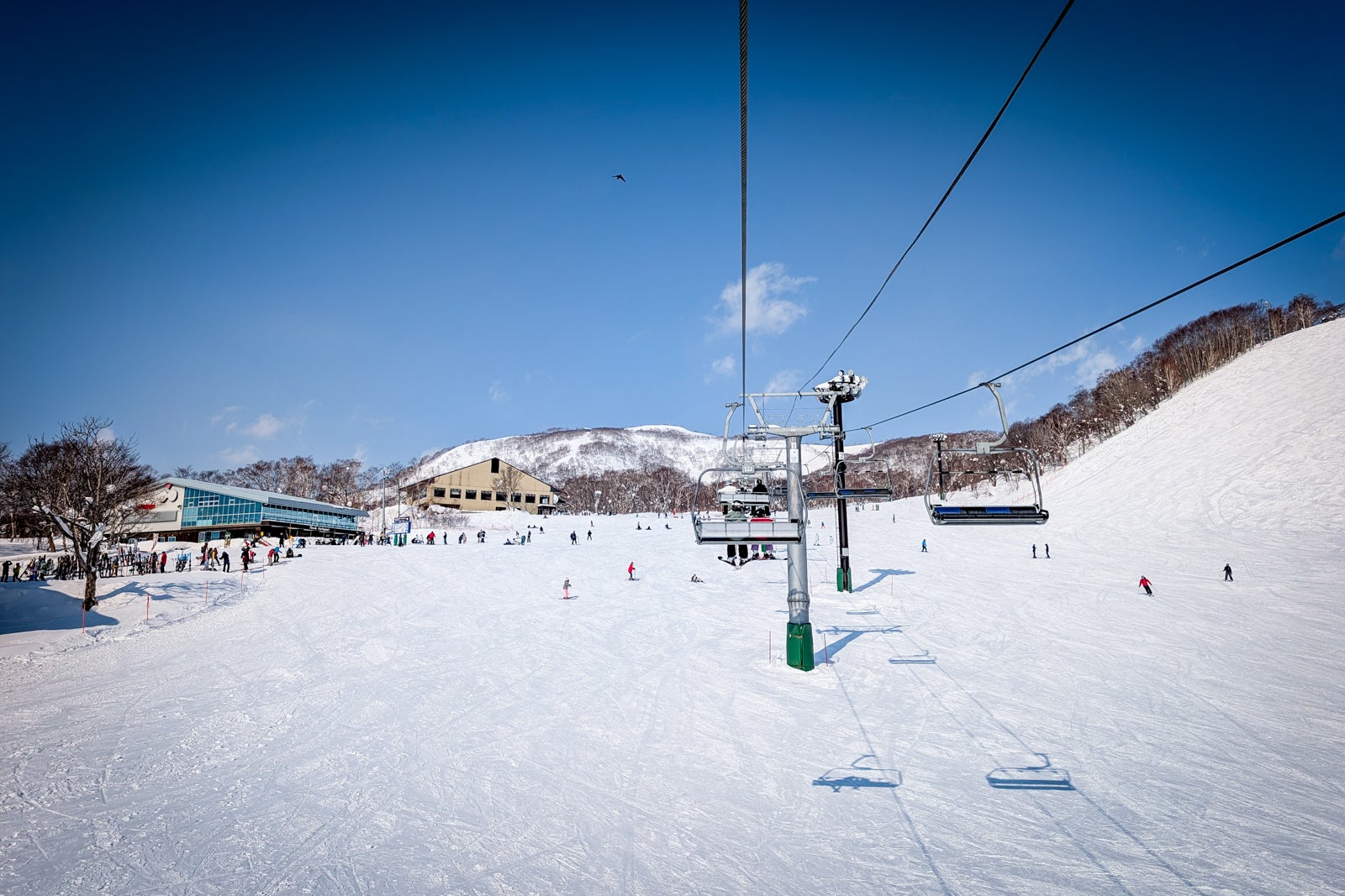 Niseko Ski