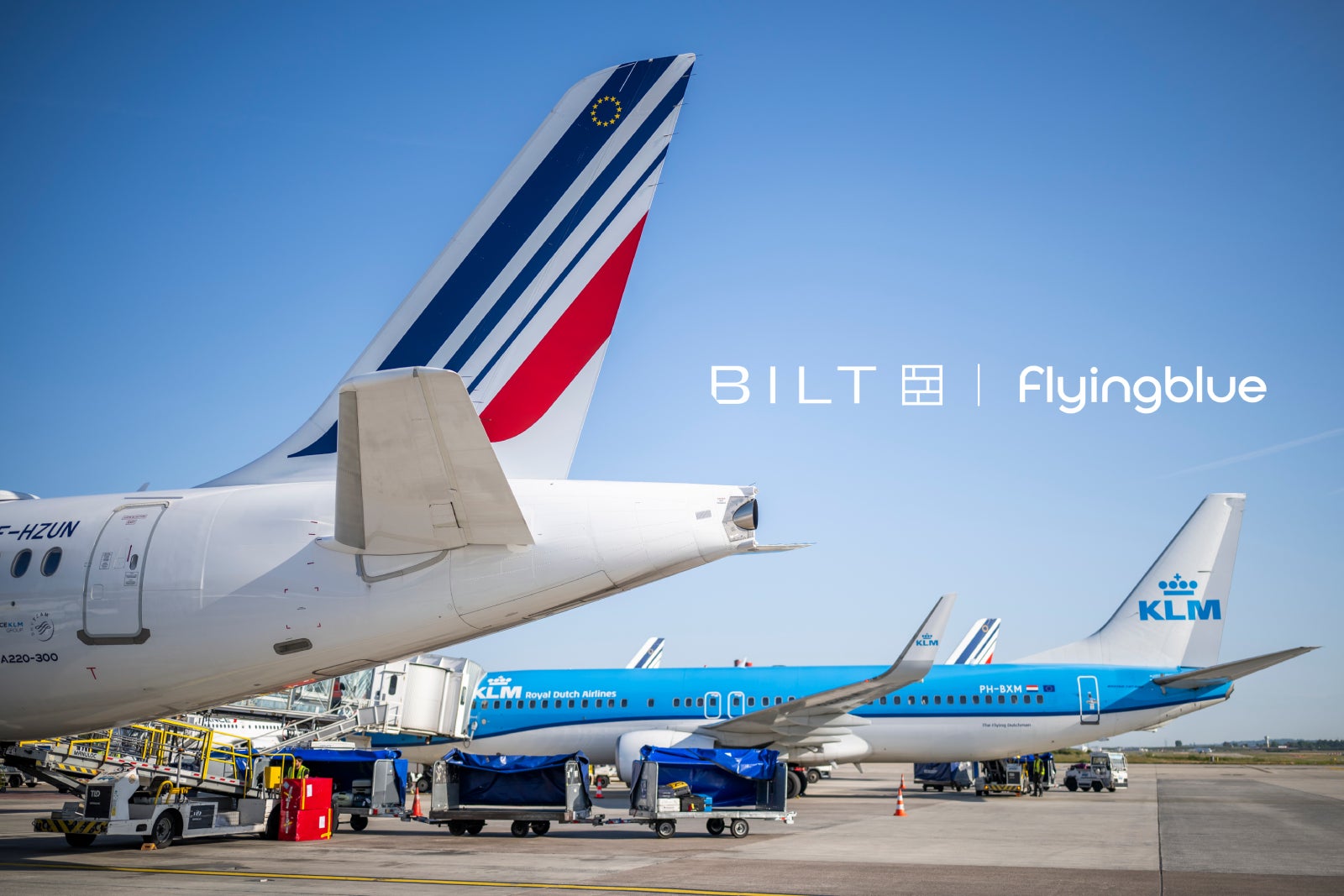 FlyingBlue_Bilt