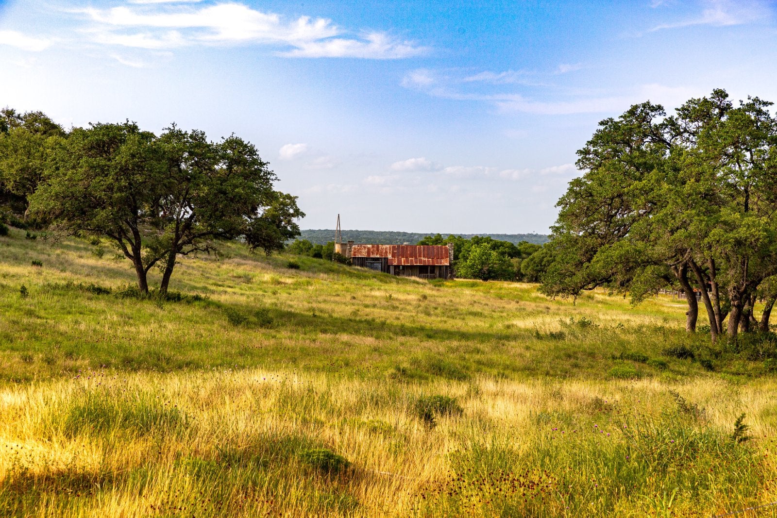 Rolling fields of a Texas Ranch