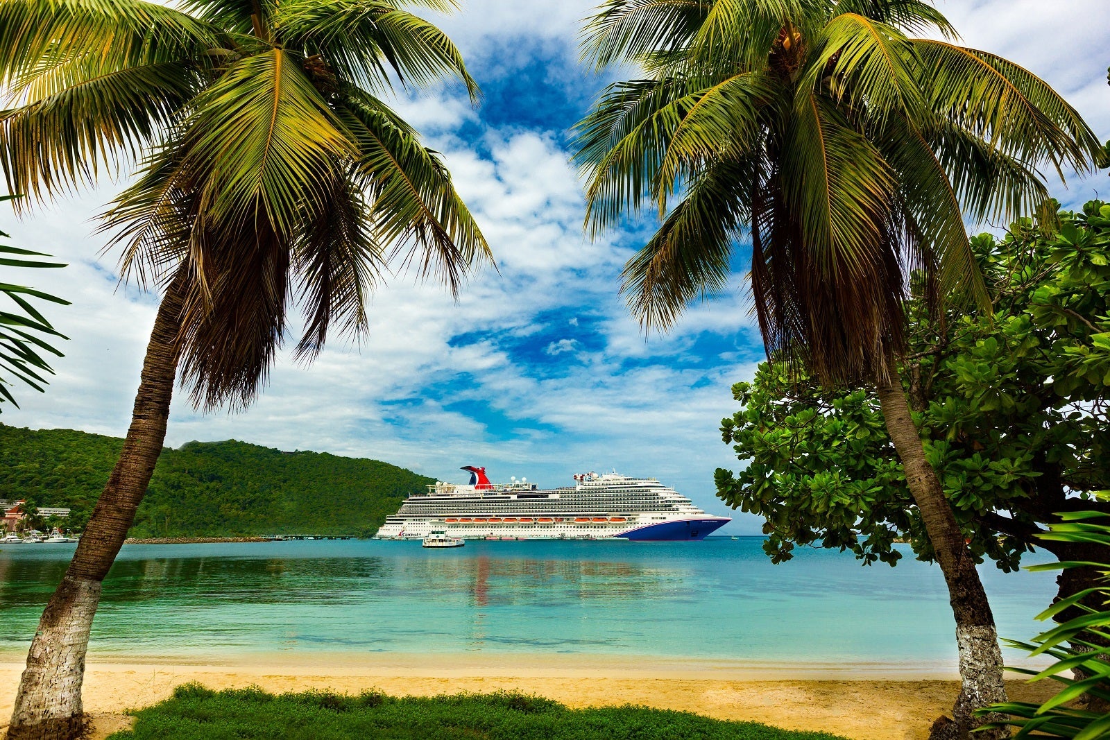 Carnival Horizon cruise ship between palm trees