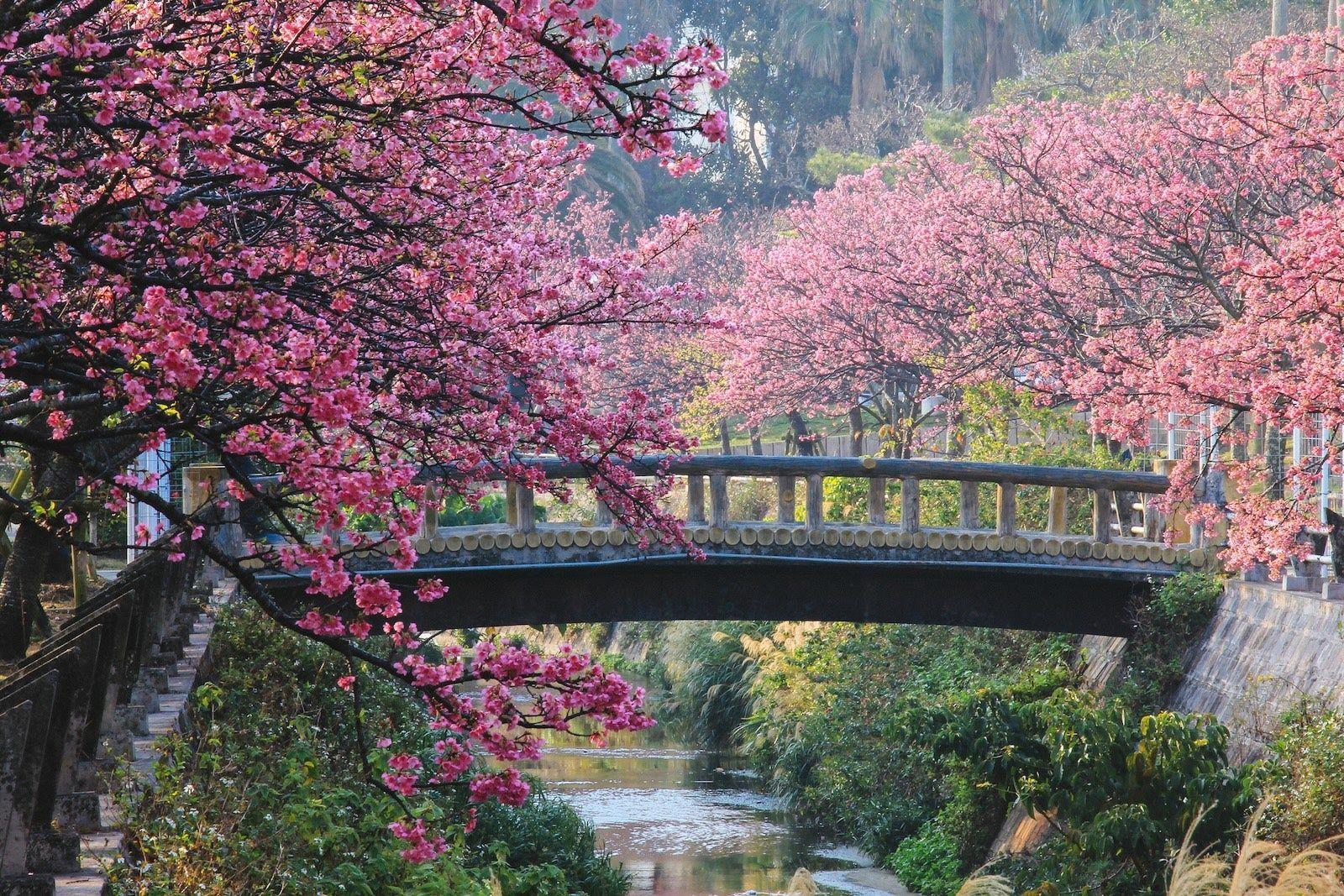 The best spots for an early spring getaway