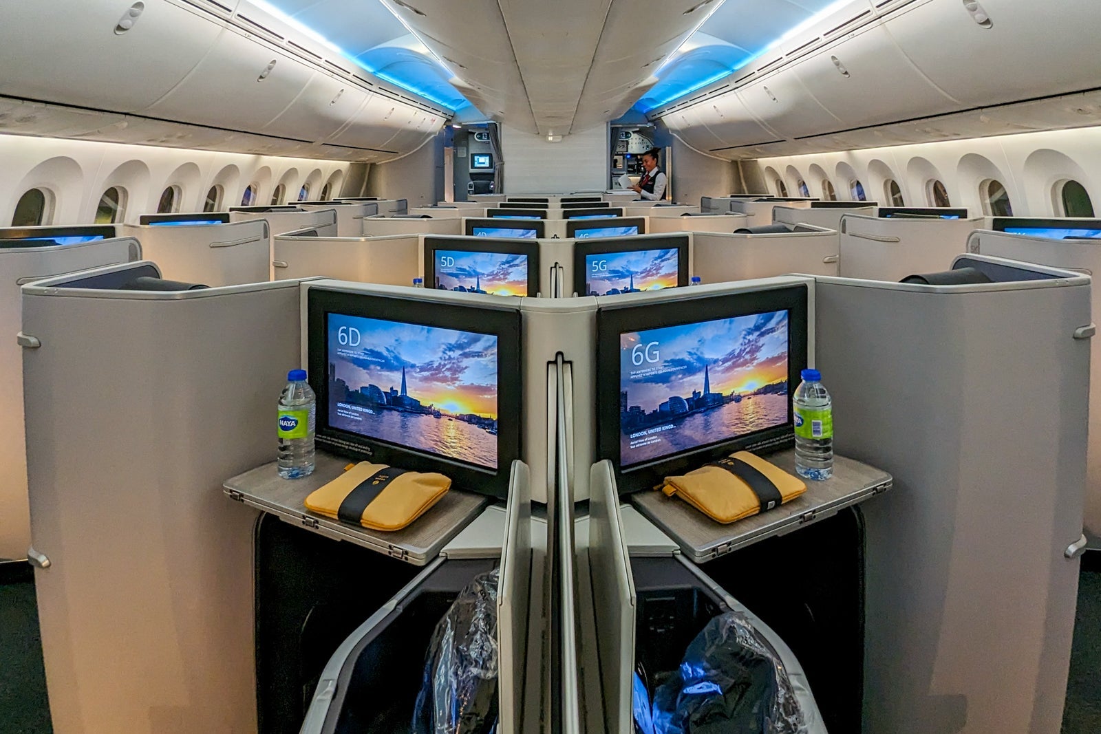 Air Canada 787 business cabin interior