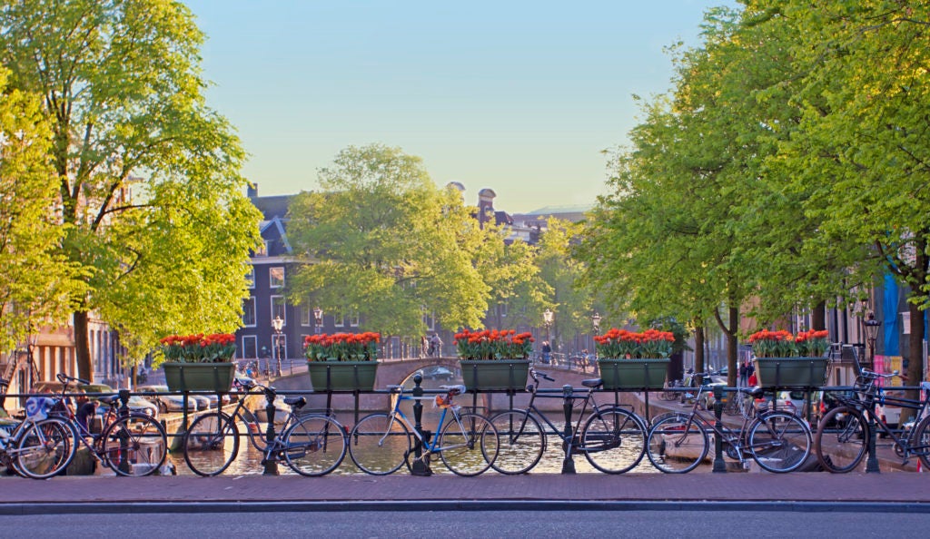 Amsterdam, land of tulip petals and bicycle pedals. Image courtesy of NADEJDA2015 via Getty Images.